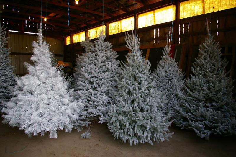 6 Holiday Ideas For A Great Family Weekend Getaway