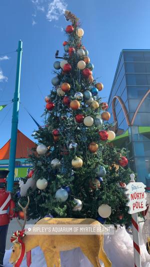 Ripleys Christmas