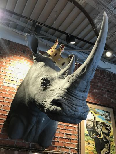 Rhino at Royal Rhino