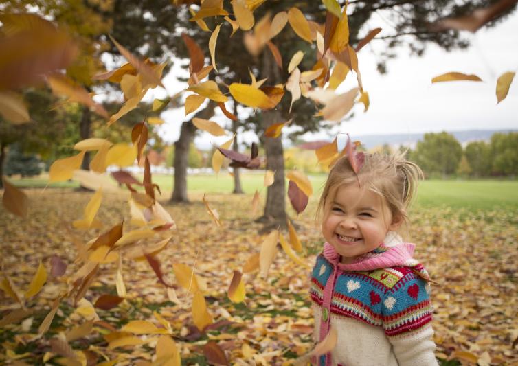 Fall Leaves