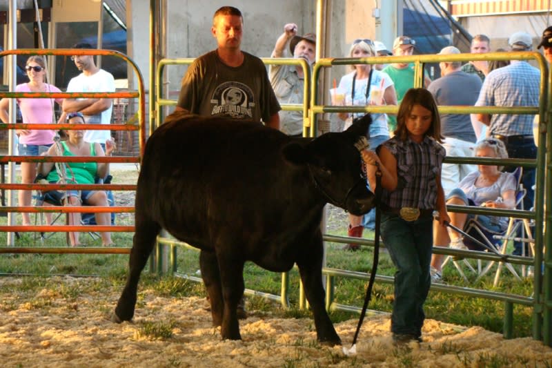 Wyandotte County Fair