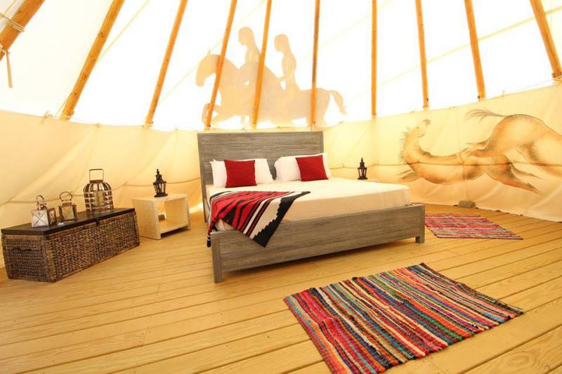 Visit Mountain Horse Farm Things to Do Finger Lakes