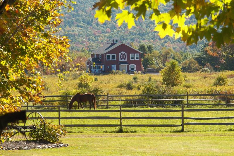 Visit Mountain Horse Farm Things to Do Finger Lakes