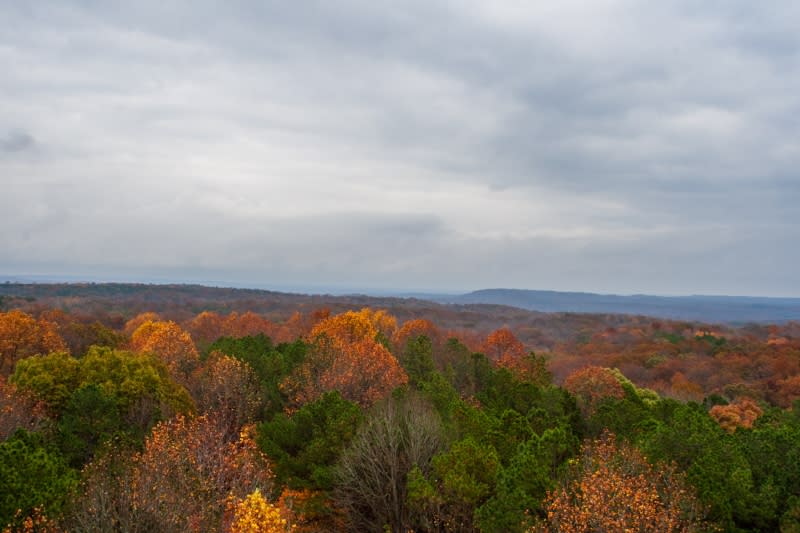 Top 10 Photo Worthy Fall Foliage Places In Bloomington Indiana