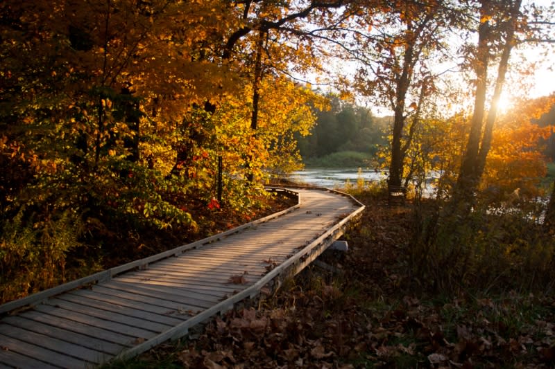 Top 10 Photo Worthy Fall Foliage Places In Bloomington Indiana