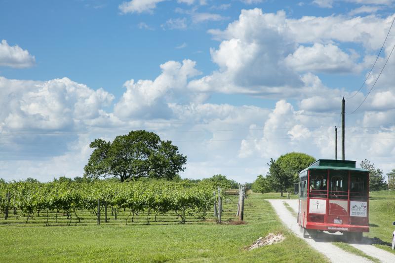 Miami County Trolley