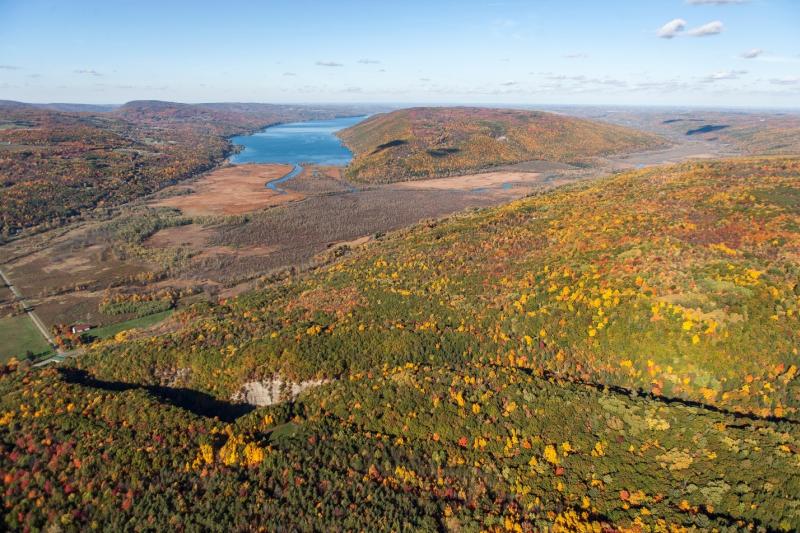 high-tor-naples-fall-credit-bill-hecht