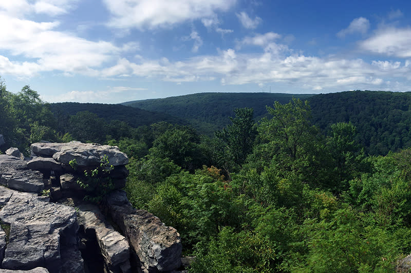 Laurel Summit State Park