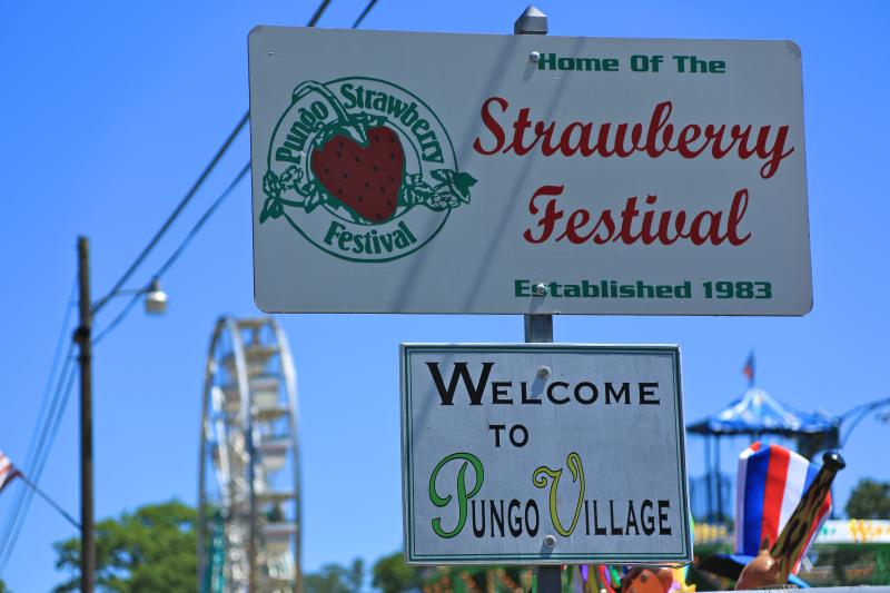 Pungo Strawberry Festival - May Events