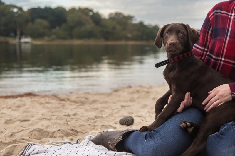 Virginia Beach's First Landing State Park in the Fall First Landing State Park Pet Friendly