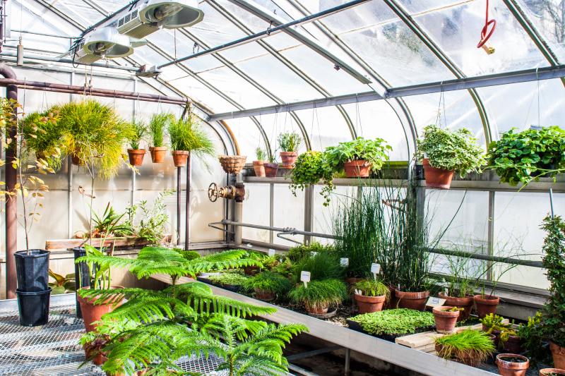 Experience Wizarding World Adventures In Bloomington In