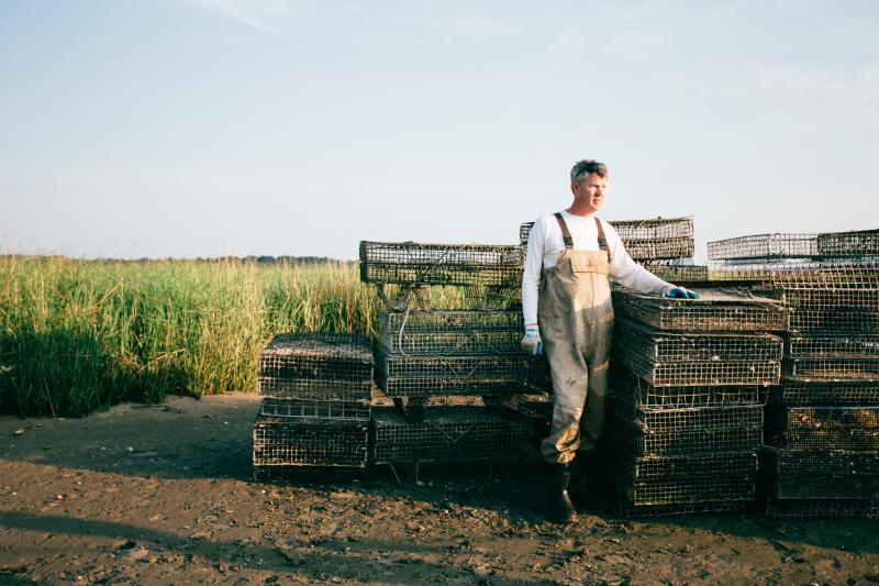 Celebrate National Oyster Day With the Legendary Lynnhaven Oysters in Virginia Beach