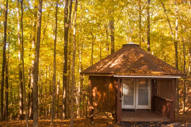 yurts in bloomington in