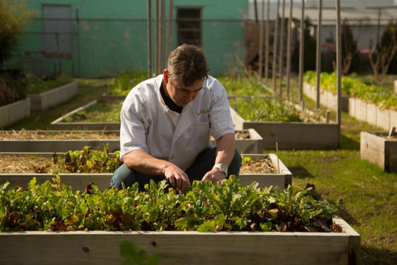 Man Looking Through A Garden At Esoteric Virginia Beach