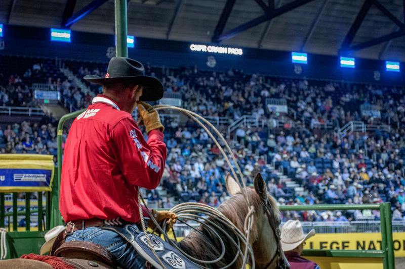 Best Rodeo's - 10 Things to Do