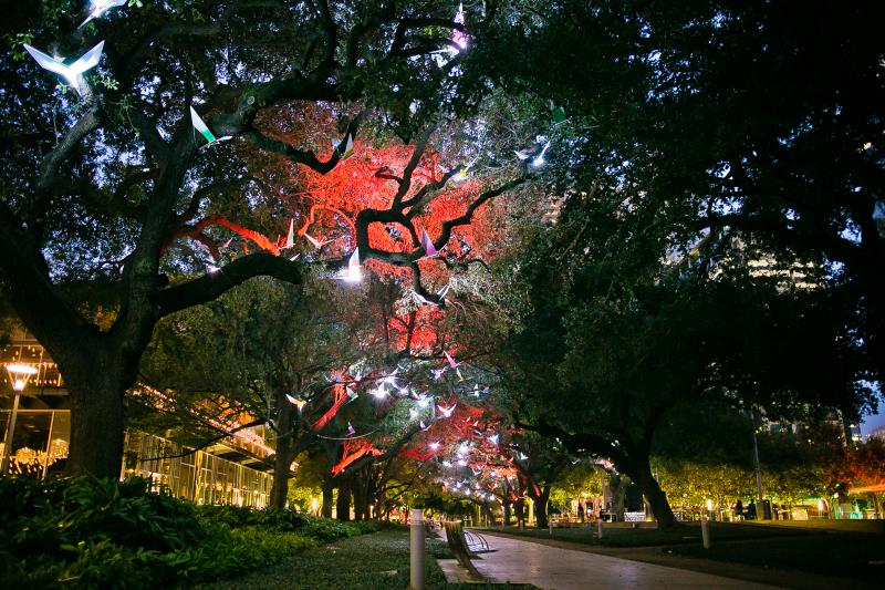 Paloma Exhibit at Discovery Green