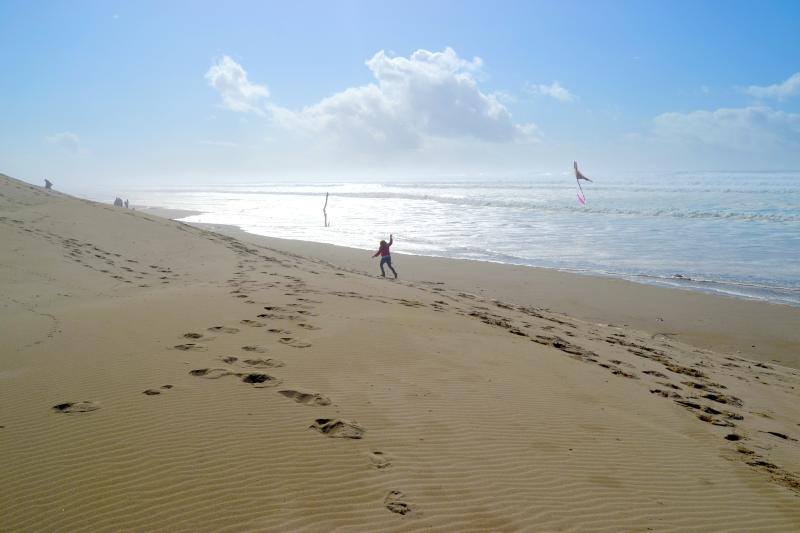 Kite Flying at South Jetty in Florence by Sally McAleer Kite Flying at South Jetty in Florence by Sally McAleer
