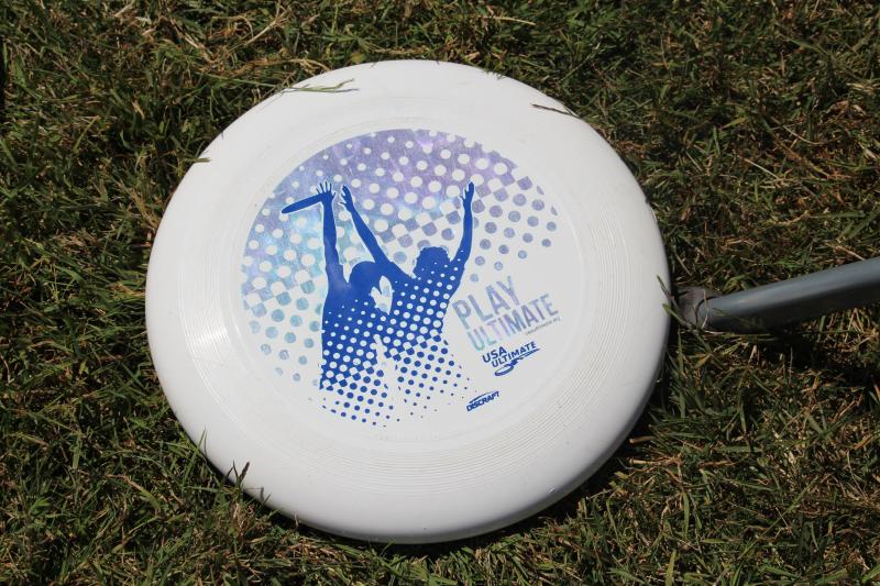 Summer Solstice Ultimate Frisbee by Joey Jewell Summer Solstice Ultimate Frisbee by Joey Jewell