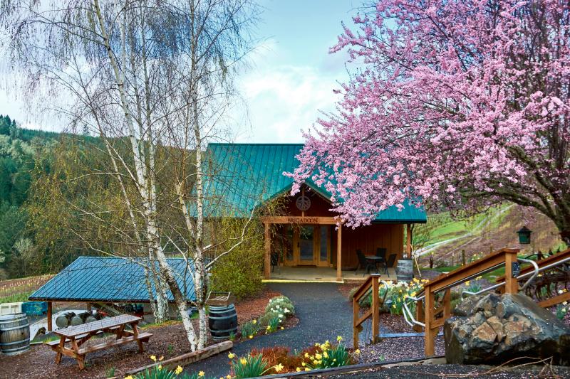Brigadoon Wine Company in the Spring by Thomas Moser Brigadoon Wine Company in the Spring by Thomas Moser