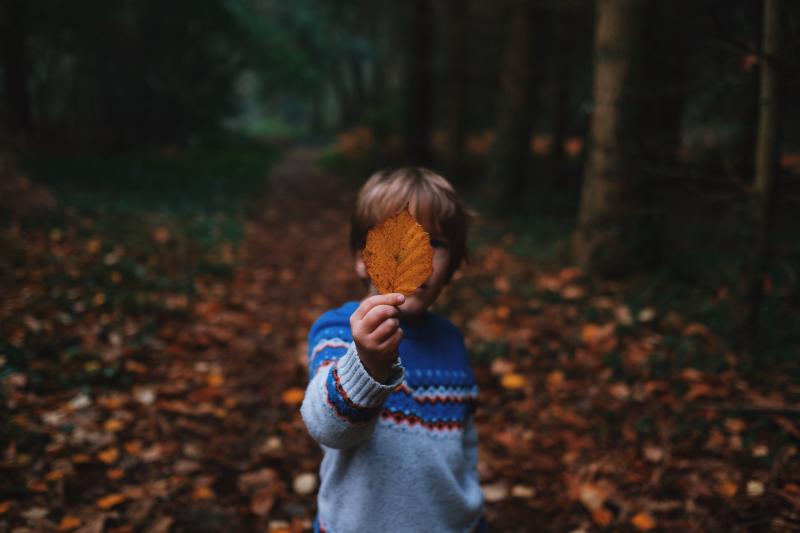 Child with leaf Photo by Annie Spratt on Unsplash