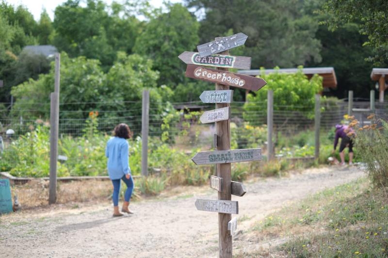 Connolly Ranch Garden