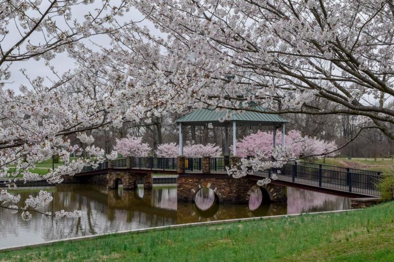 Spring at Noble Park - Steve Gausebeck