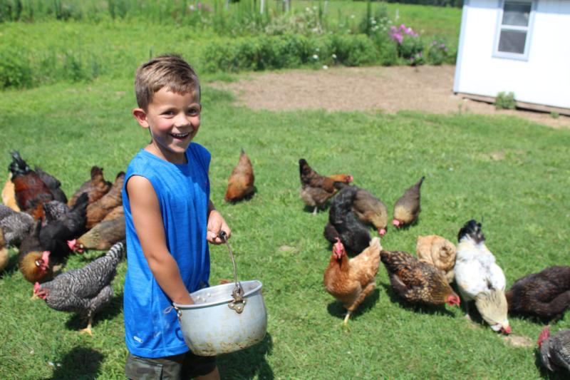 Farm at Prophetstown feeding Chickens Roman