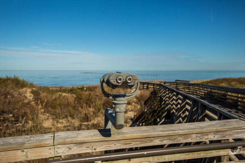 Virginia Beach's First Landing State Park in the Fall