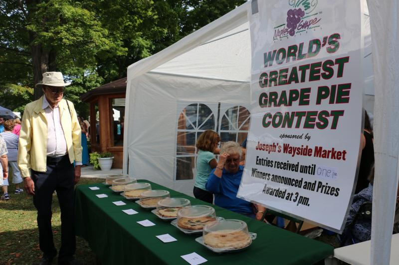 2015-naples-grape-festival-naples-greatest-pie-entries