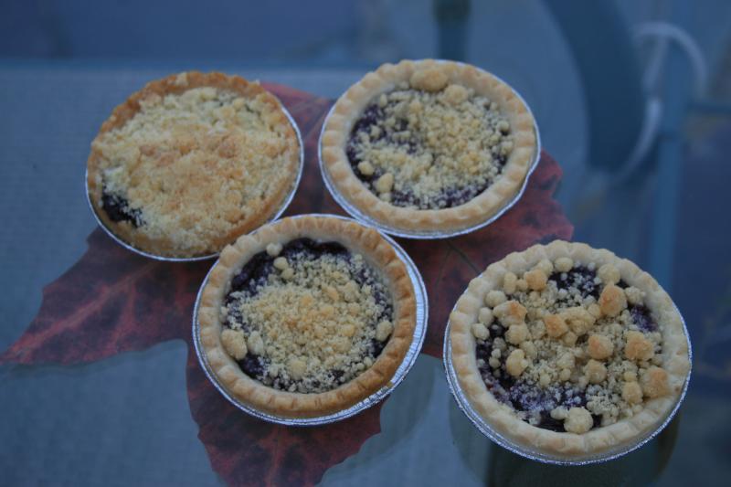 grape-pie-tarts