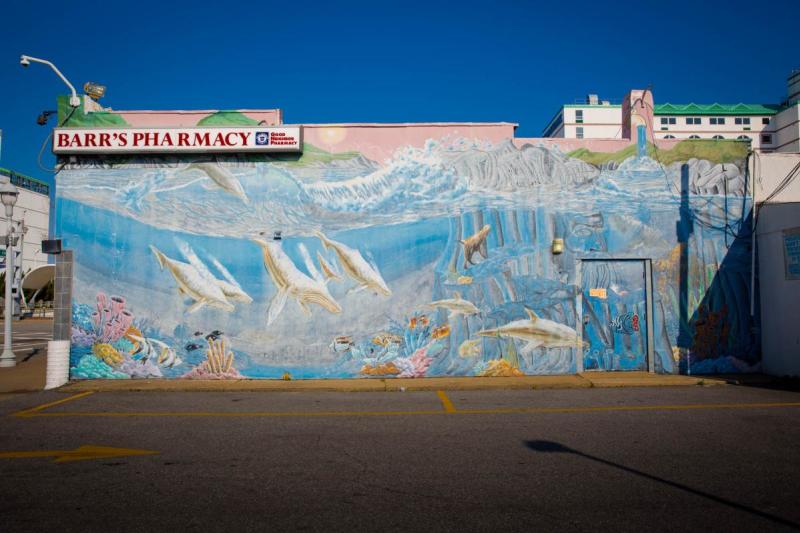 Where To Find The Most Colorful Walls In Virginia Beach