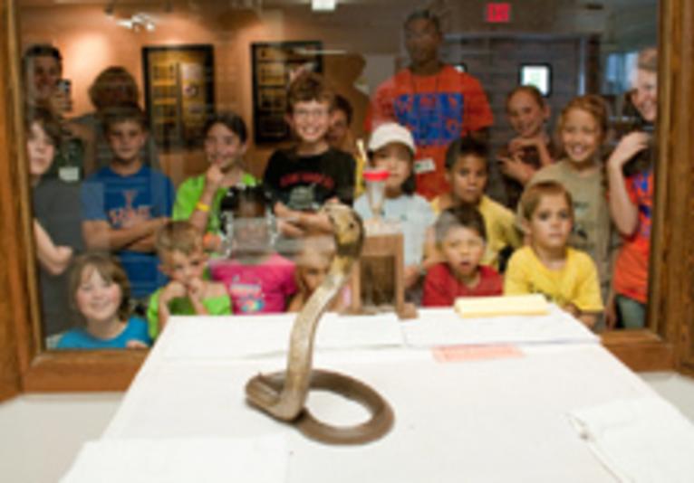 Reptile Discovery Center