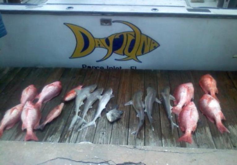 Daytuna Fishing Charters, Inc.