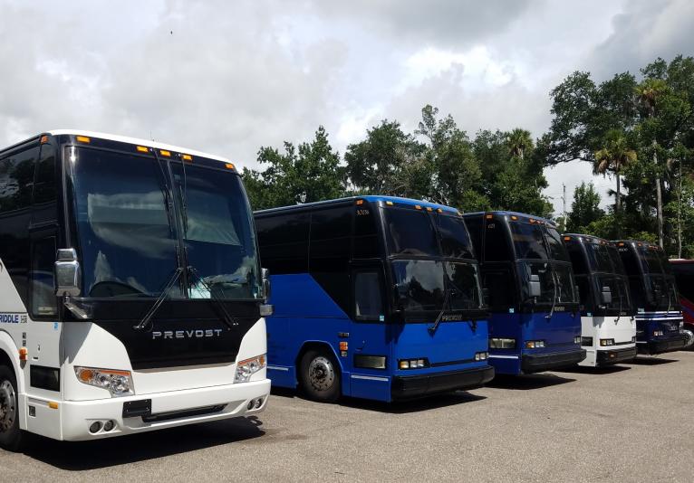 Luxury Coaches