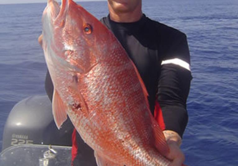 Fin-Addict Charters