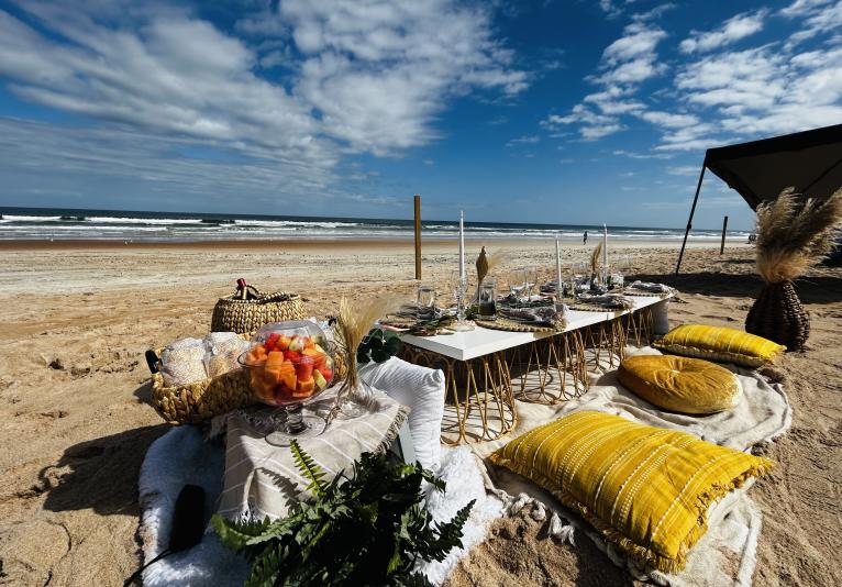 beach picnic 1