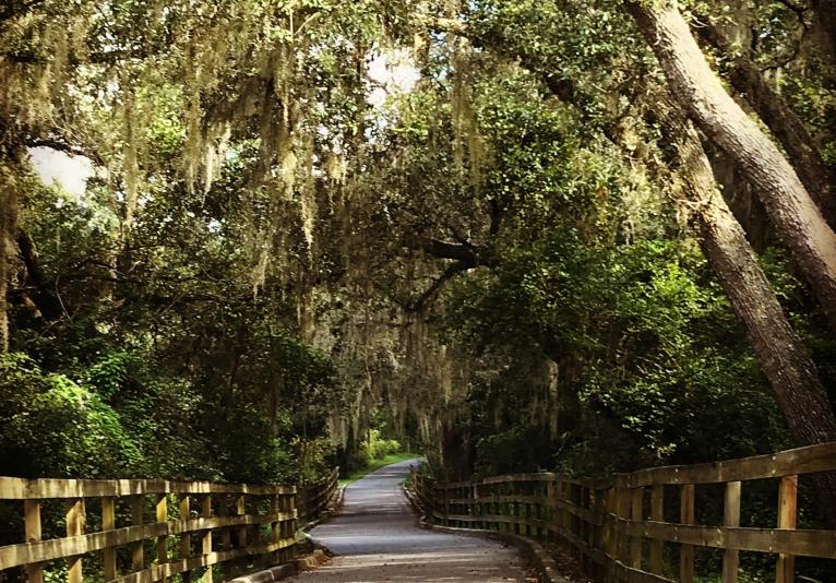 Spring to Spring Trail - Lake Beresford Section
