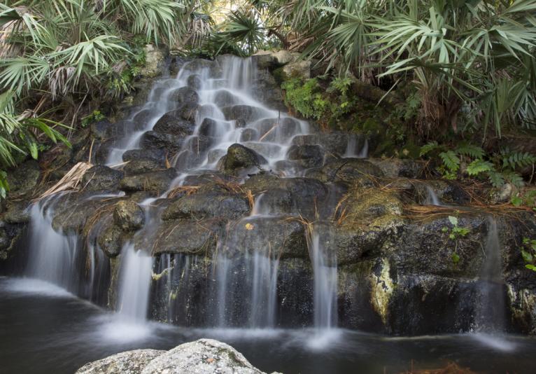 Ormond Memorial Art Museum and Gardens waterfall