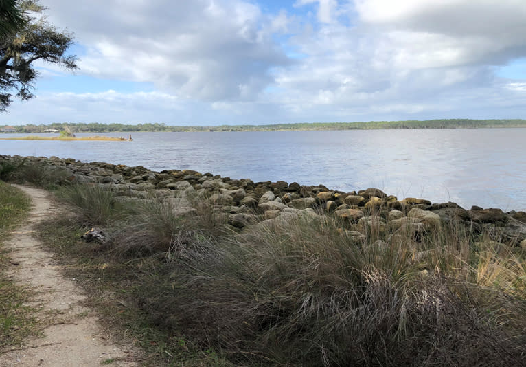 Tomoka State Park 4