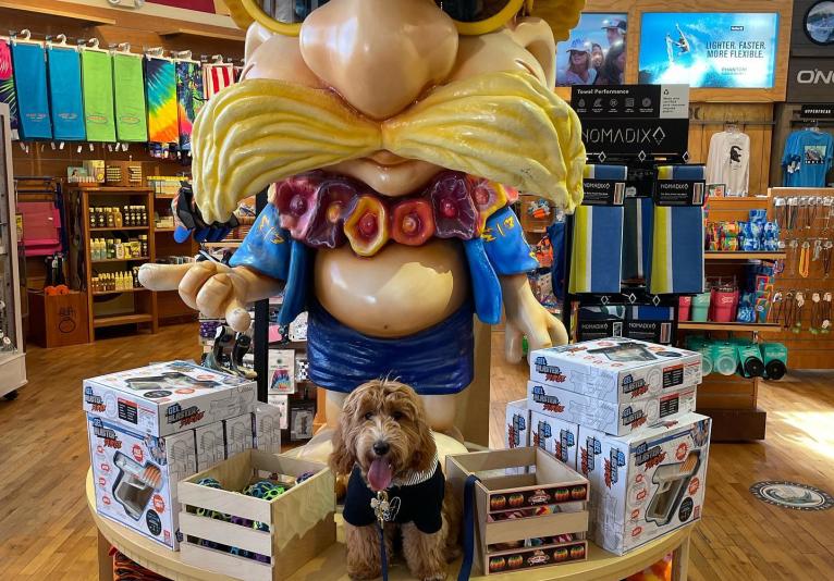 Maui Nix Surf Shop