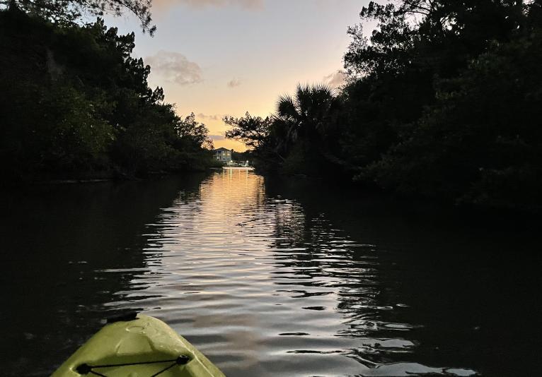 Sunset in the Mangroves