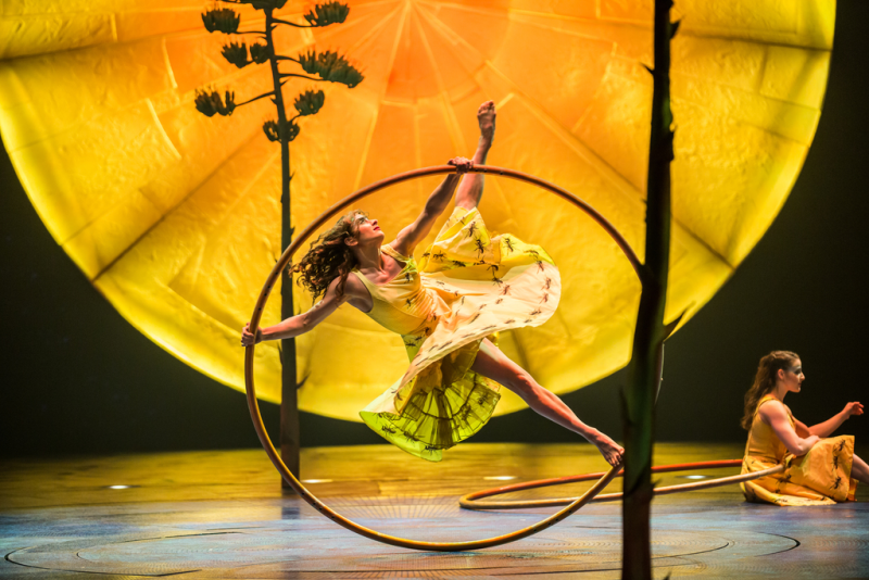 A dancer performs in Cirque du Soleil's Luzia