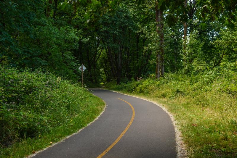 Springfield Clearwater Park Bike Path by Melanie Griffin
