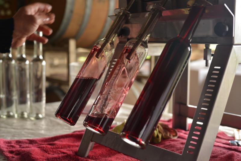 Saginaw Vineyards bottling by Melanie Griffin Saginaw Vineyards bottling by Melanie Griffin
