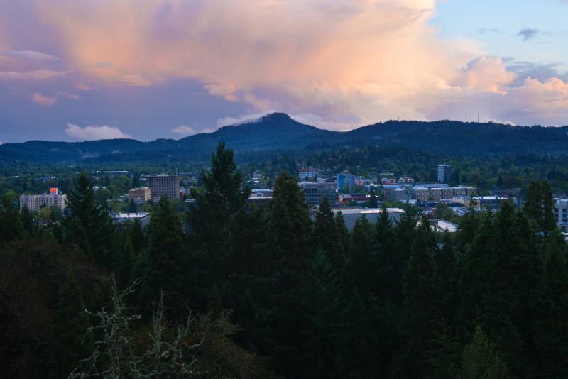 View from Skinner Butte by Melanie Griffin