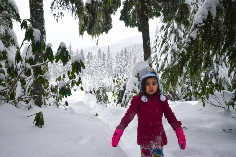 Salt Creek Sno-Park in winter by Melanie Griffin Salt Creek Sno-Park in winter by Melanie Griffin