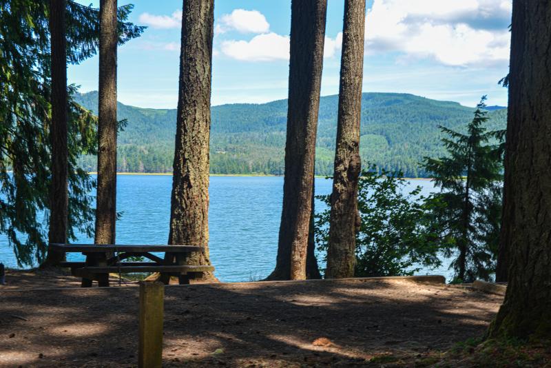 Baker Bay Campground by Melanie Griffin Baker Bay Campground by Melanie Griffin
