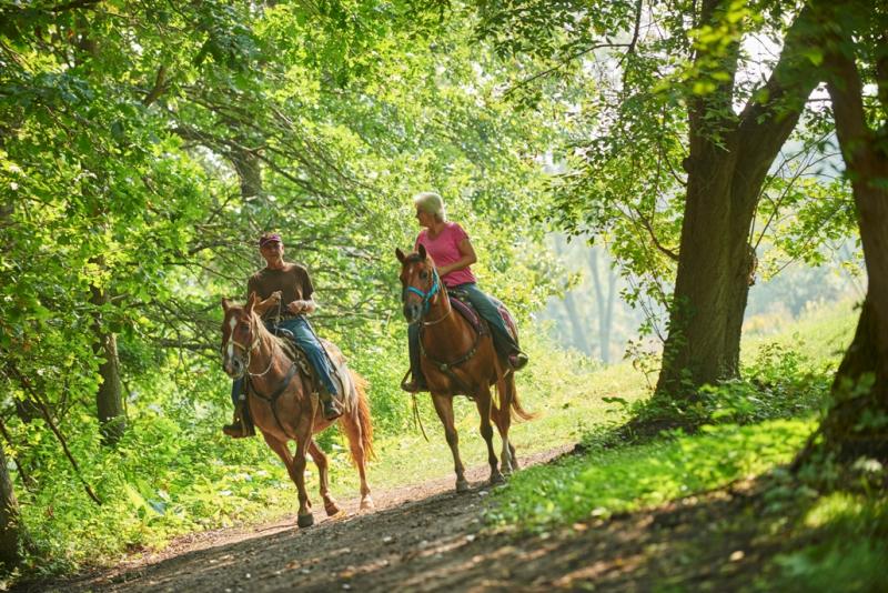 Sundance Riding Stables