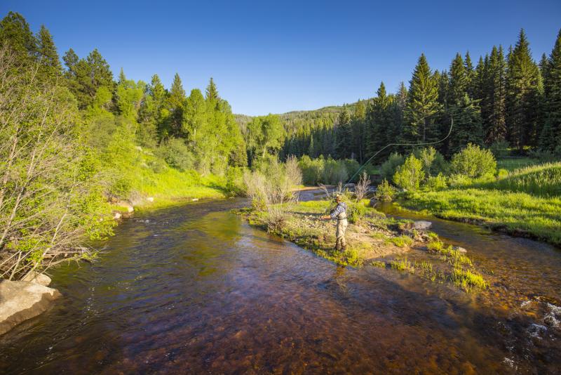 Fly Fishing Sarvis Creek