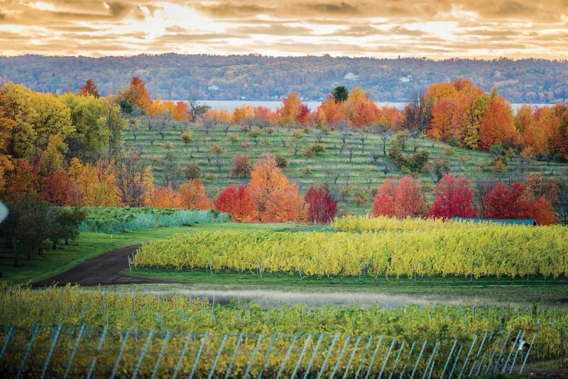 Fall Wine Tasting in Traverse City